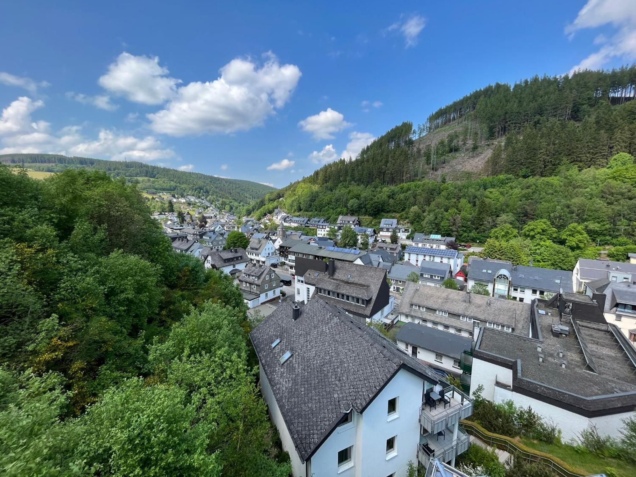 Bergpanorama - Suite Willingen