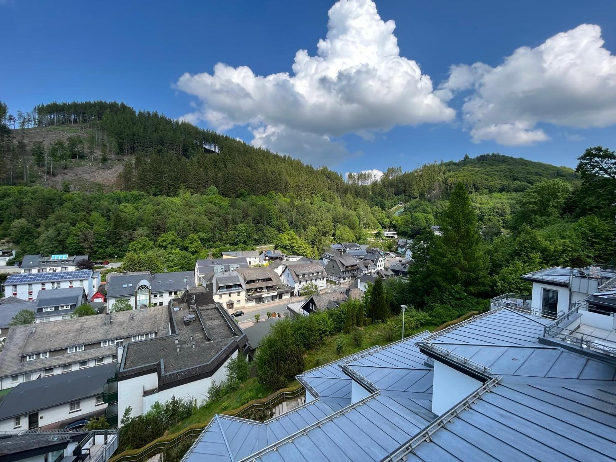 Bergpanorama - Suite Willingen
