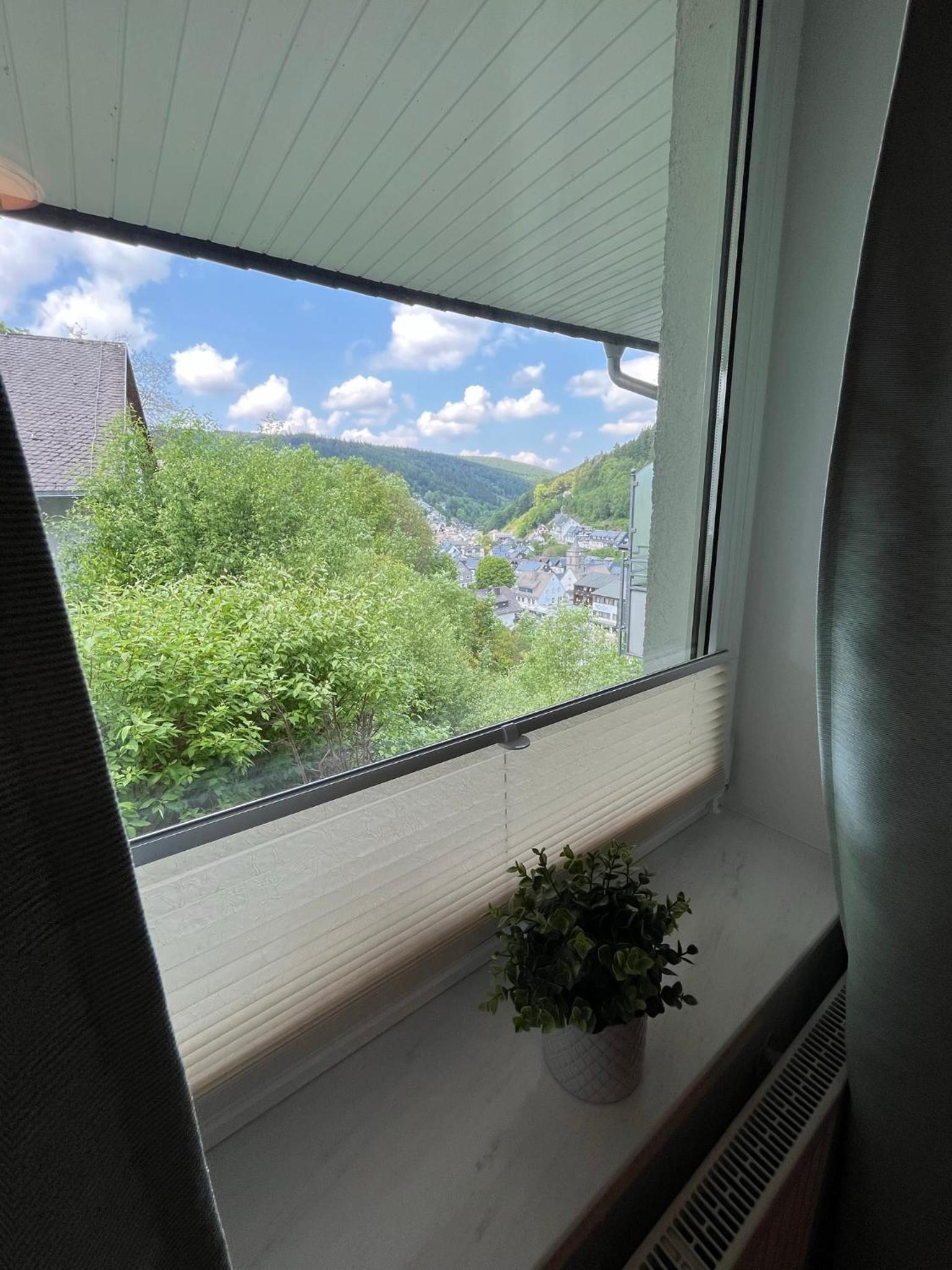 Bergpanorama - Suite Willingen