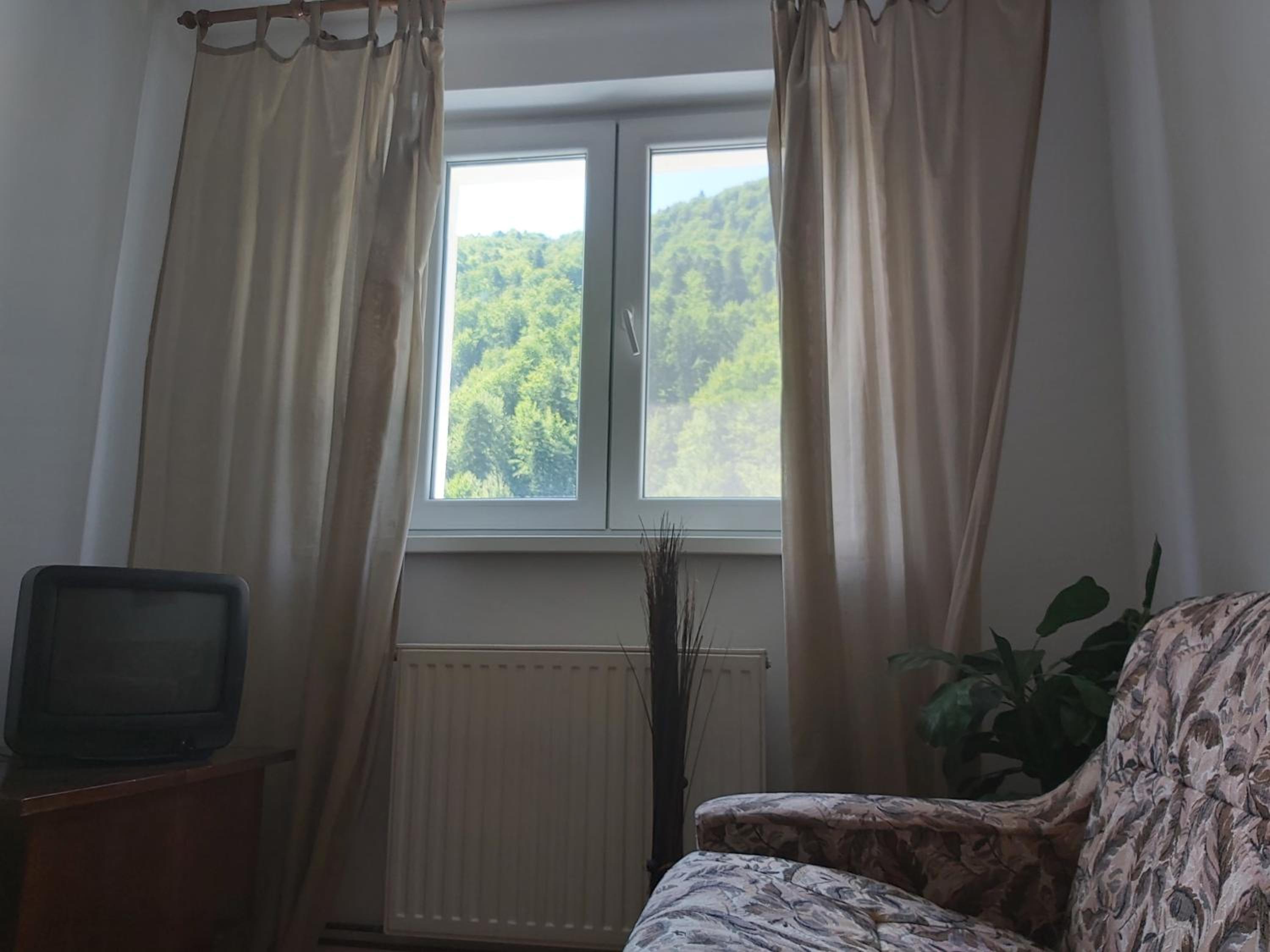 Apartment Valea Azugii view 2