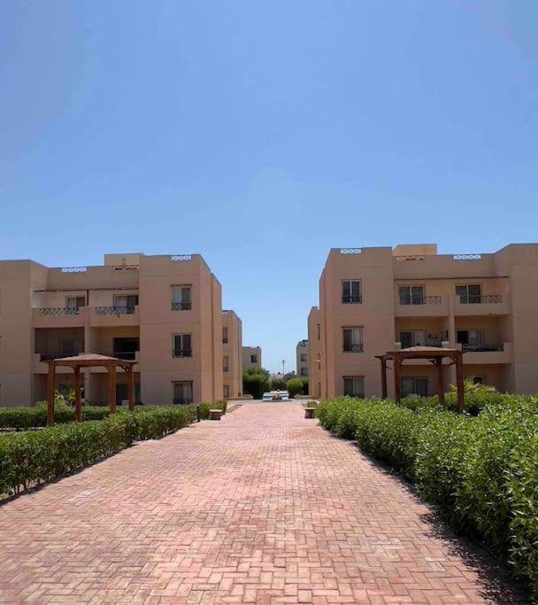 Cometa Beach Resort apartment in Nabq