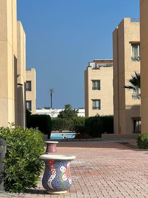 Cometa Beach Resort apartment in Nabq