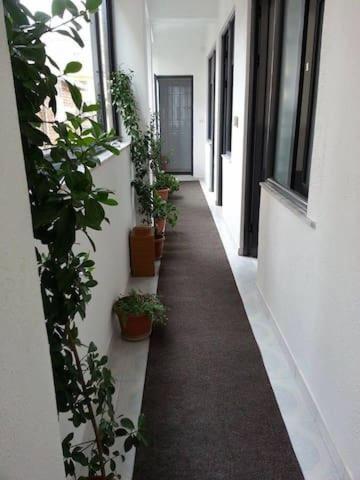 Guest House AZA photo 5