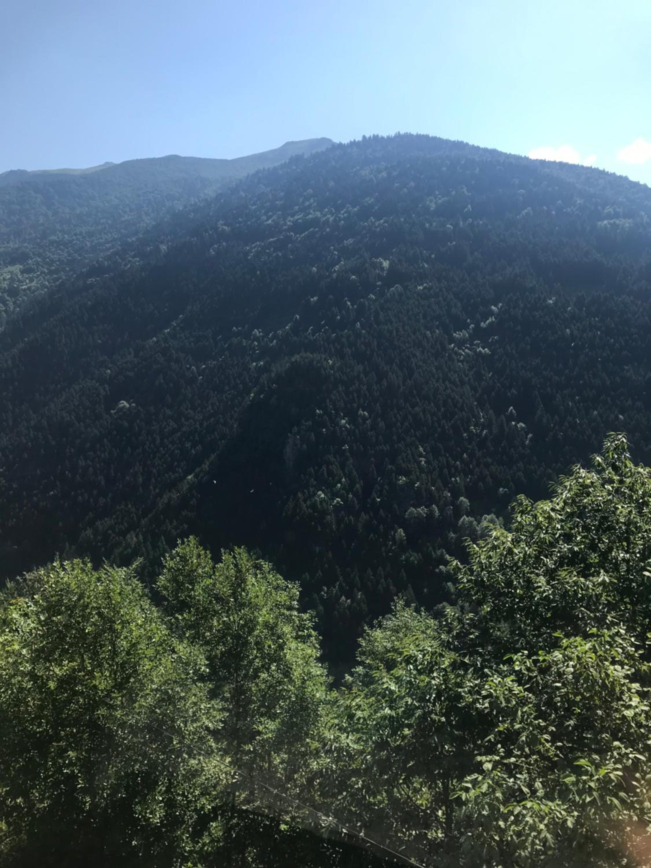 Puşur Apart view 4