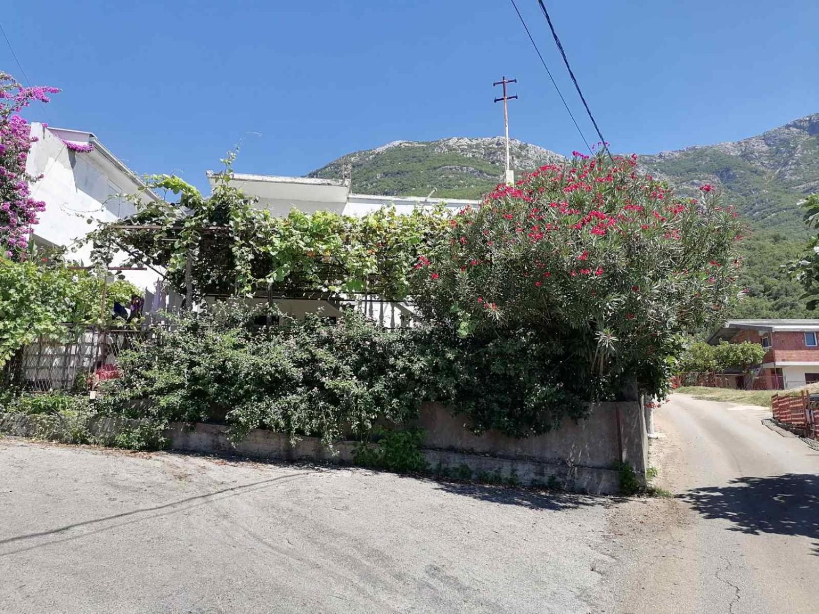 Vesela vila view 5
