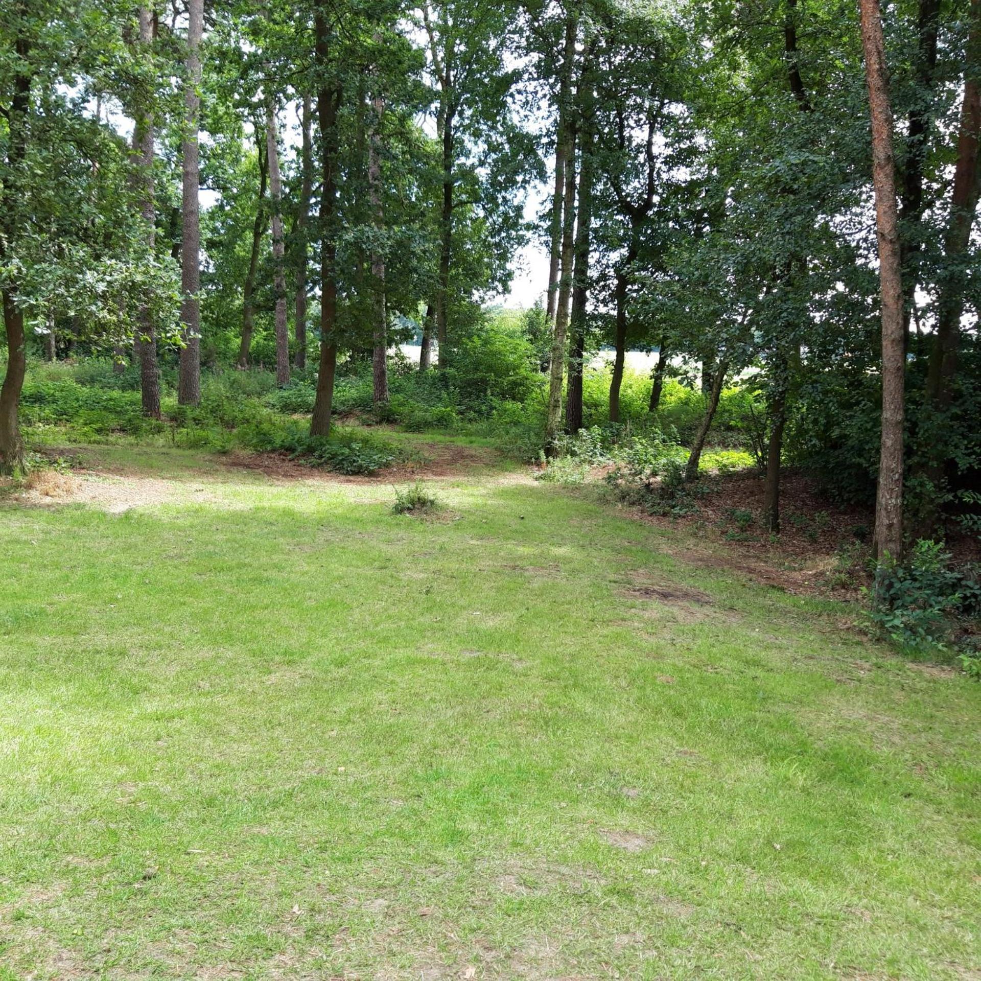 Vakantiehuis op top locatie #Ommen view 3