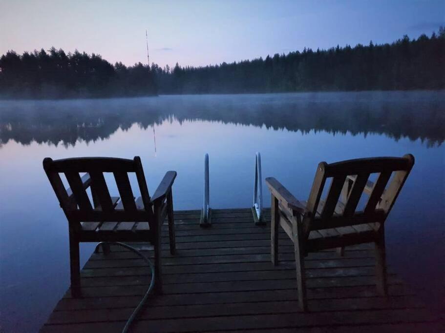 Unique winter holiday in pine forest