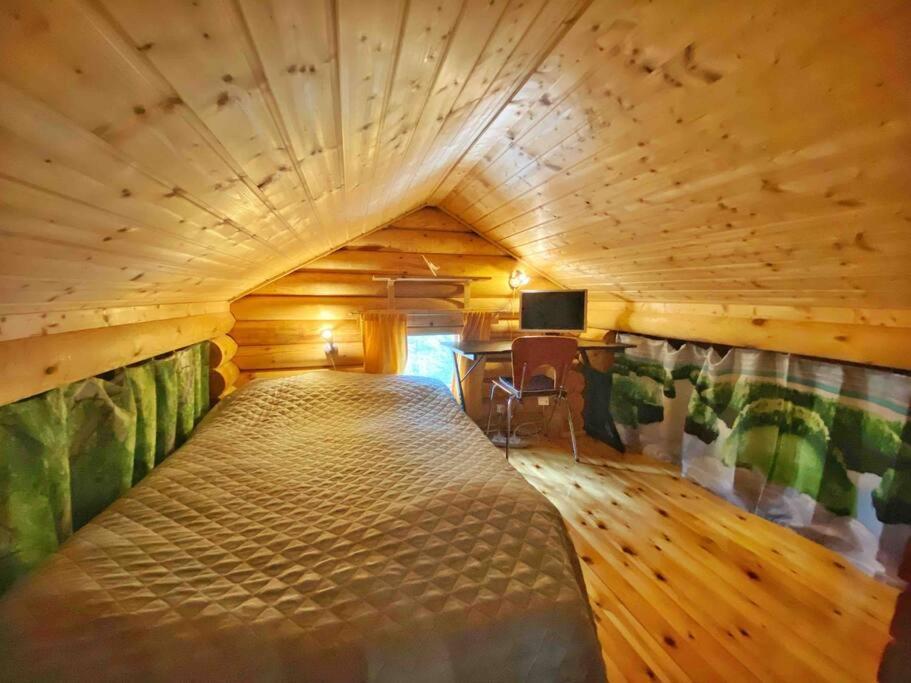 Unique winter holiday in pine forest