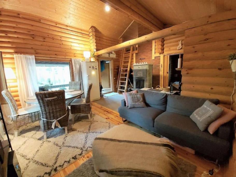 Unique winter holiday in pine forest
