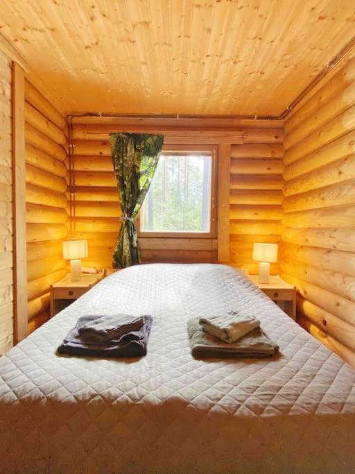 Unique winter holiday in pine forest