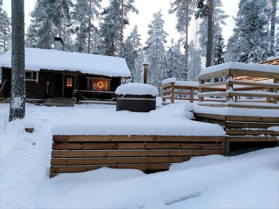 Unique winter holiday in pine forest