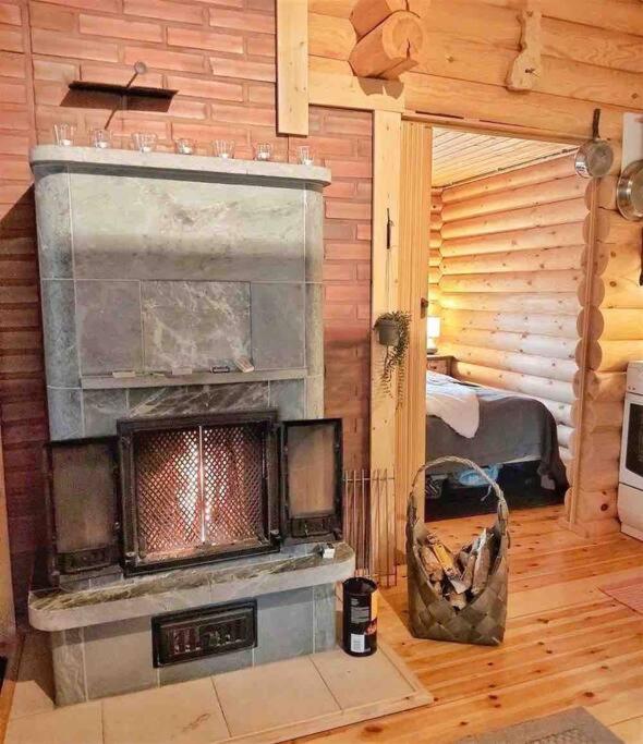 Unique winter holiday in pine forest