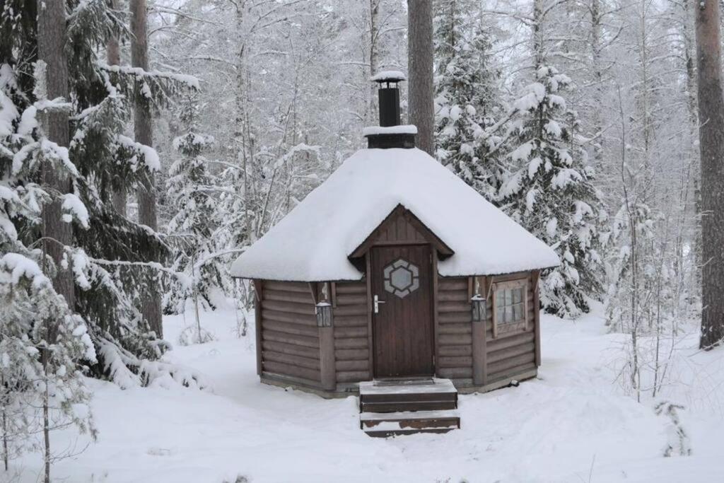 Unique winter holiday in pine forest
