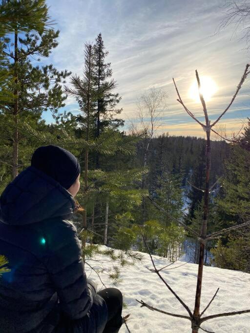 Unique winter holiday in pine forest