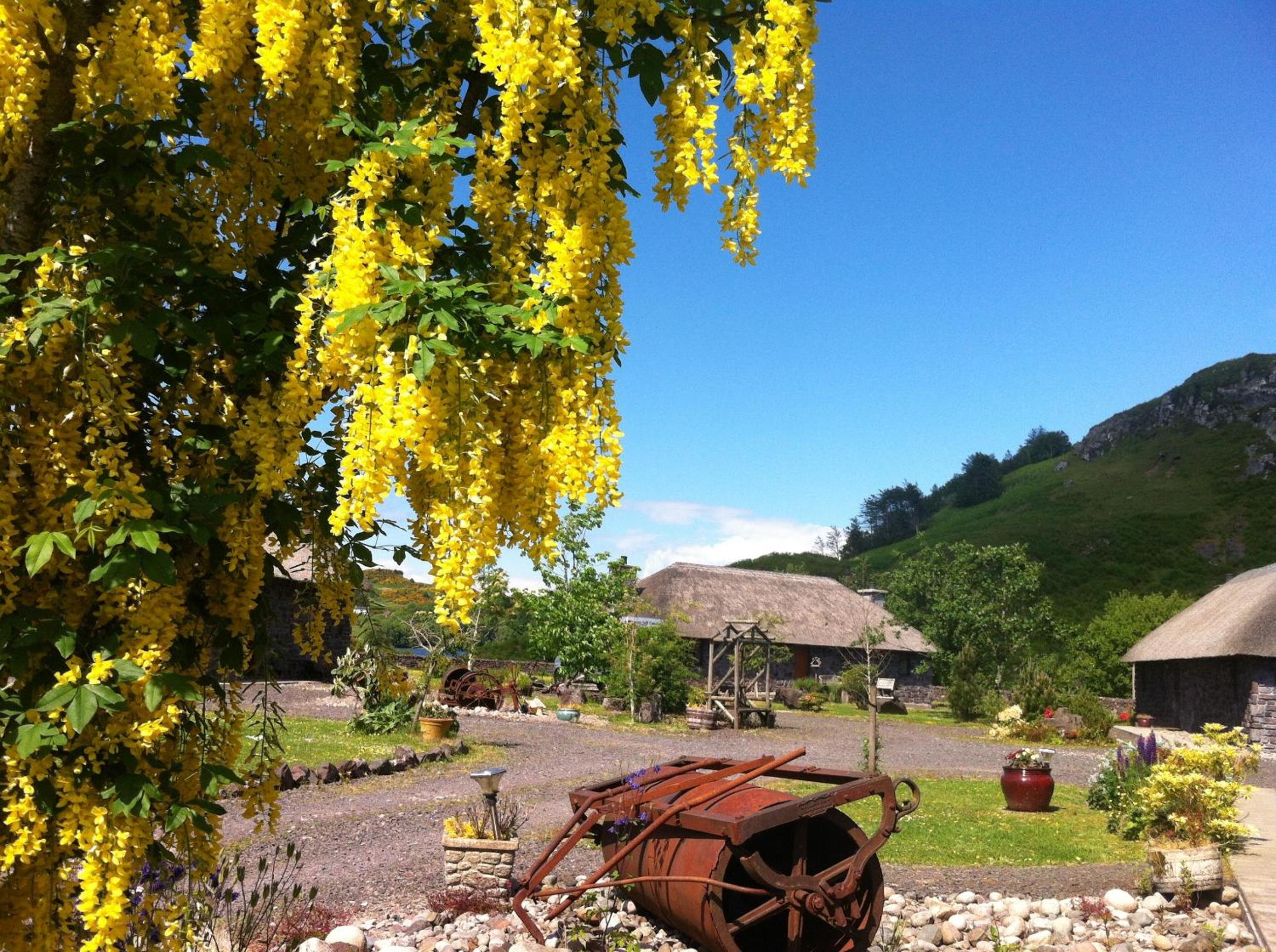 Clan Cottages Luxury Thatched Retreat near Oban view 3