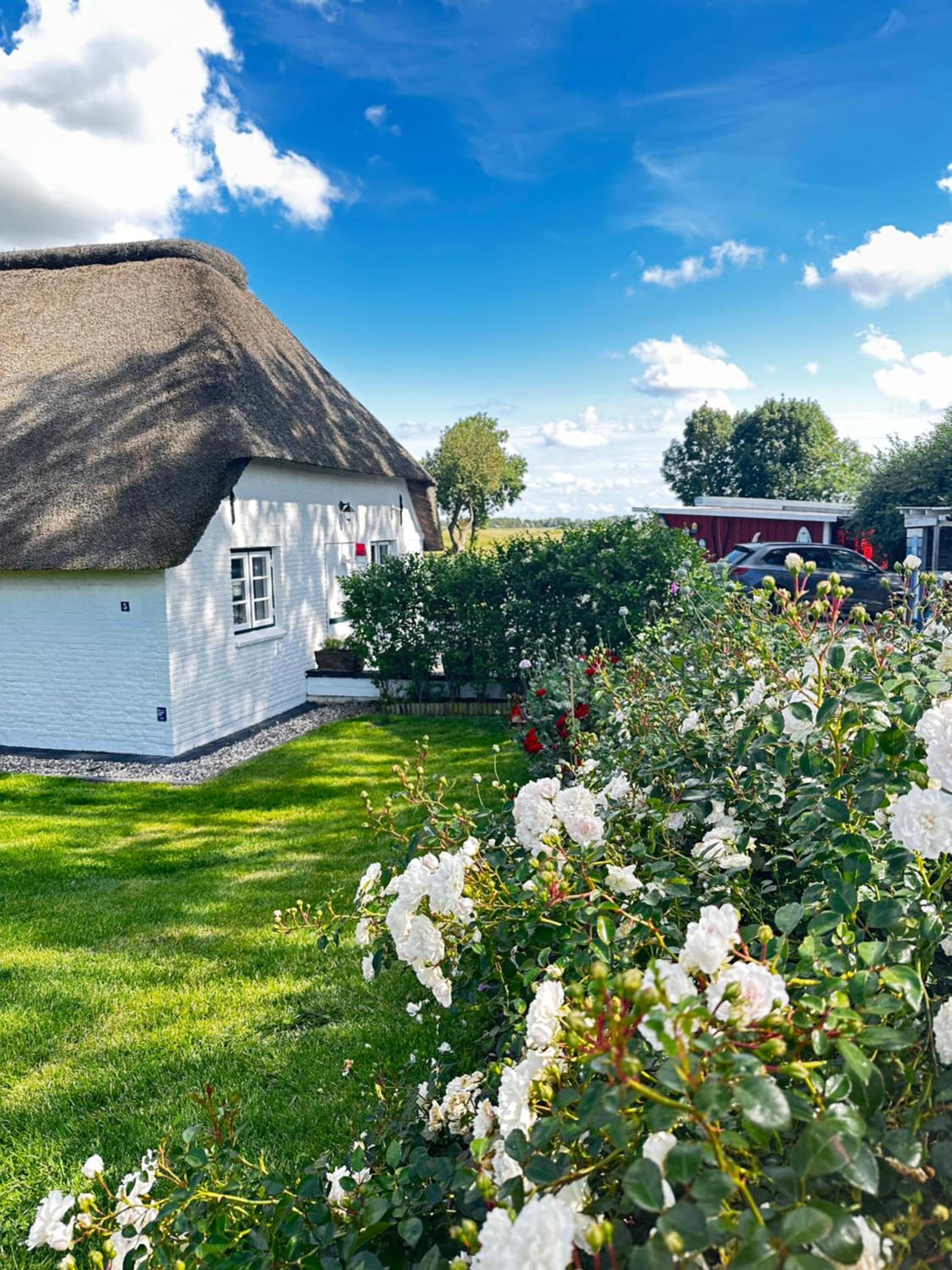 Reetdachhaus, Sauna, E-Bikes, 6 Personen