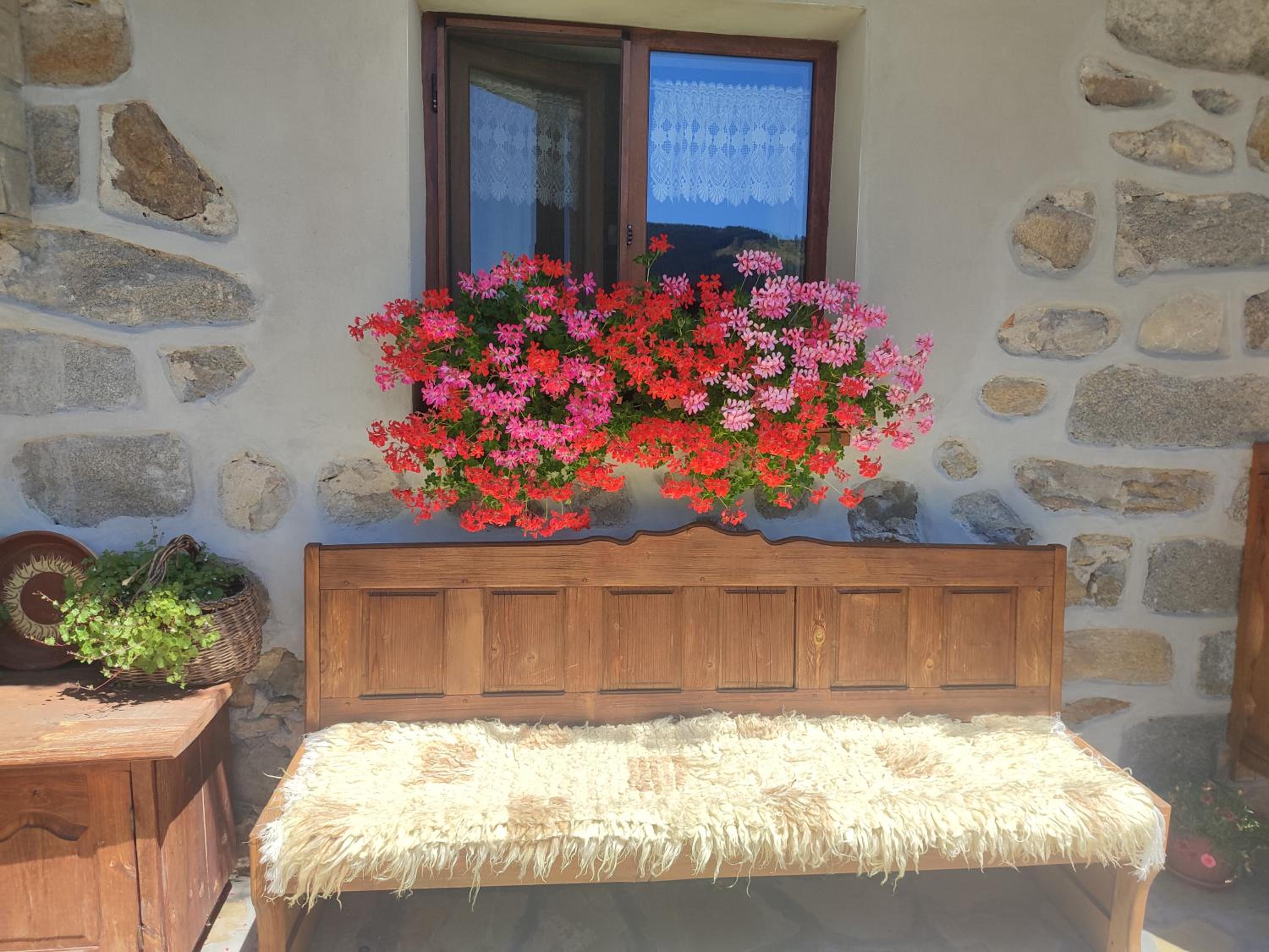 Радкината къща
