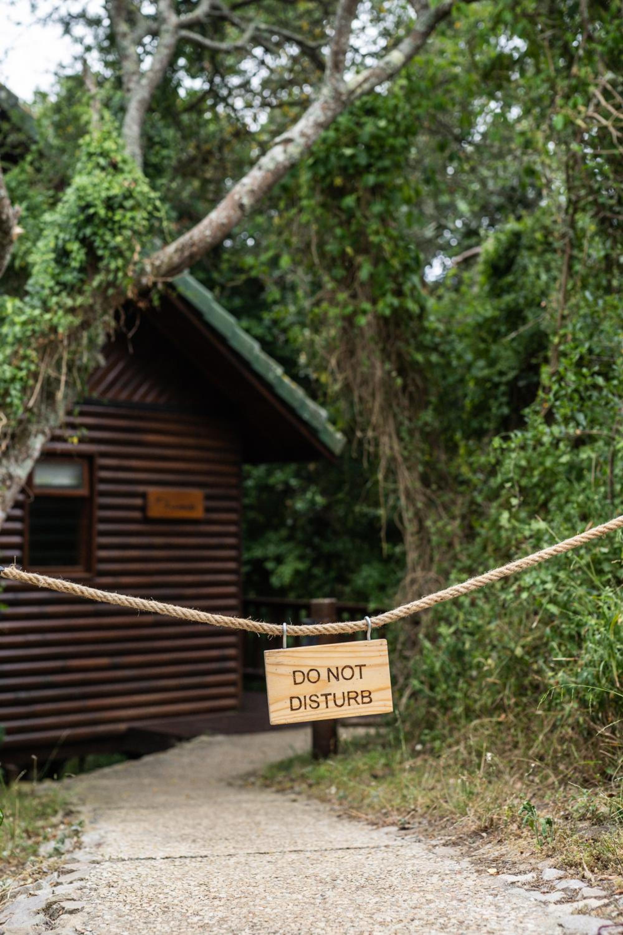 Thunzi Bush Lodge