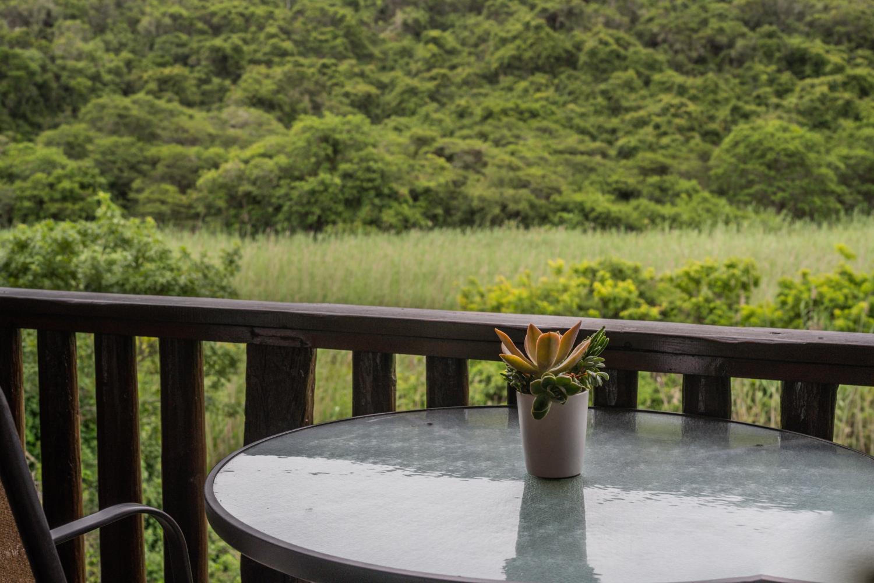 Thunzi Bush Lodge