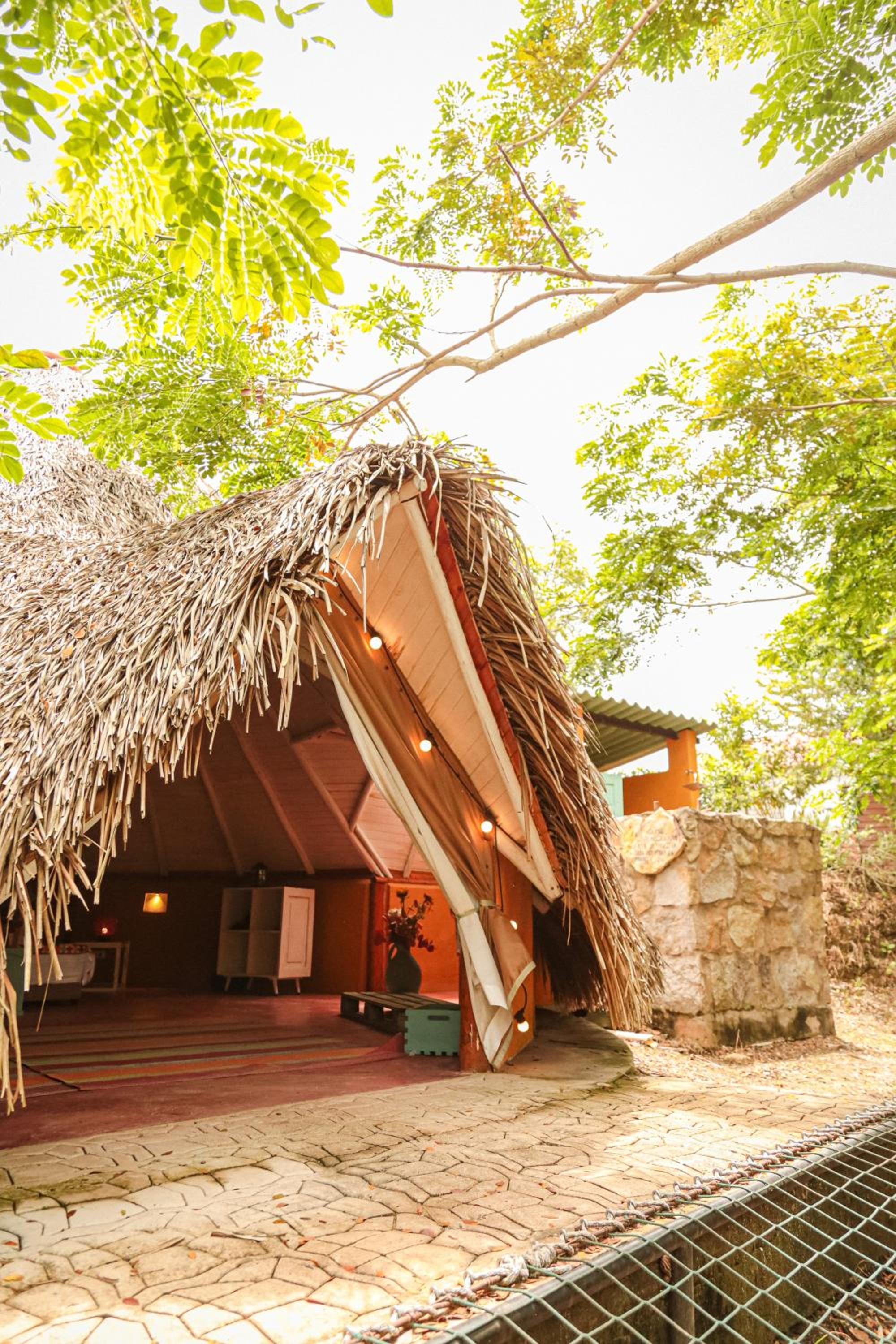 Hotel Mangoo Glamping