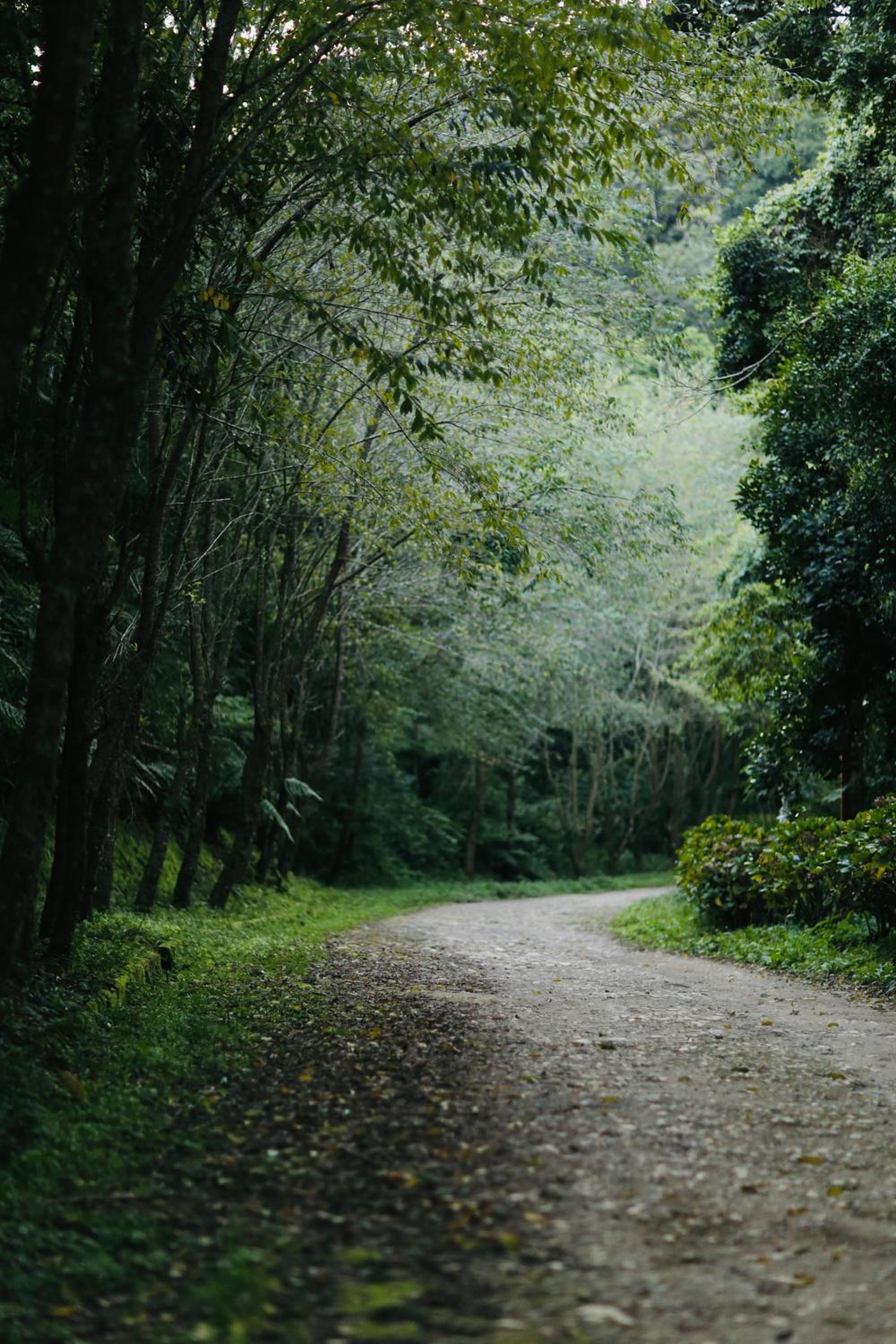 Chalé cercado de muito verde a 9km de Sto Antonio do Pinhal - Área rural