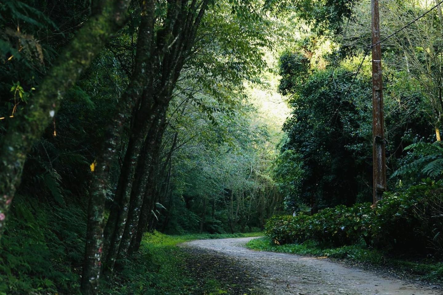 Chalé cercado de muito verde a 9km de Sto Antonio do Pinhal - Área rural