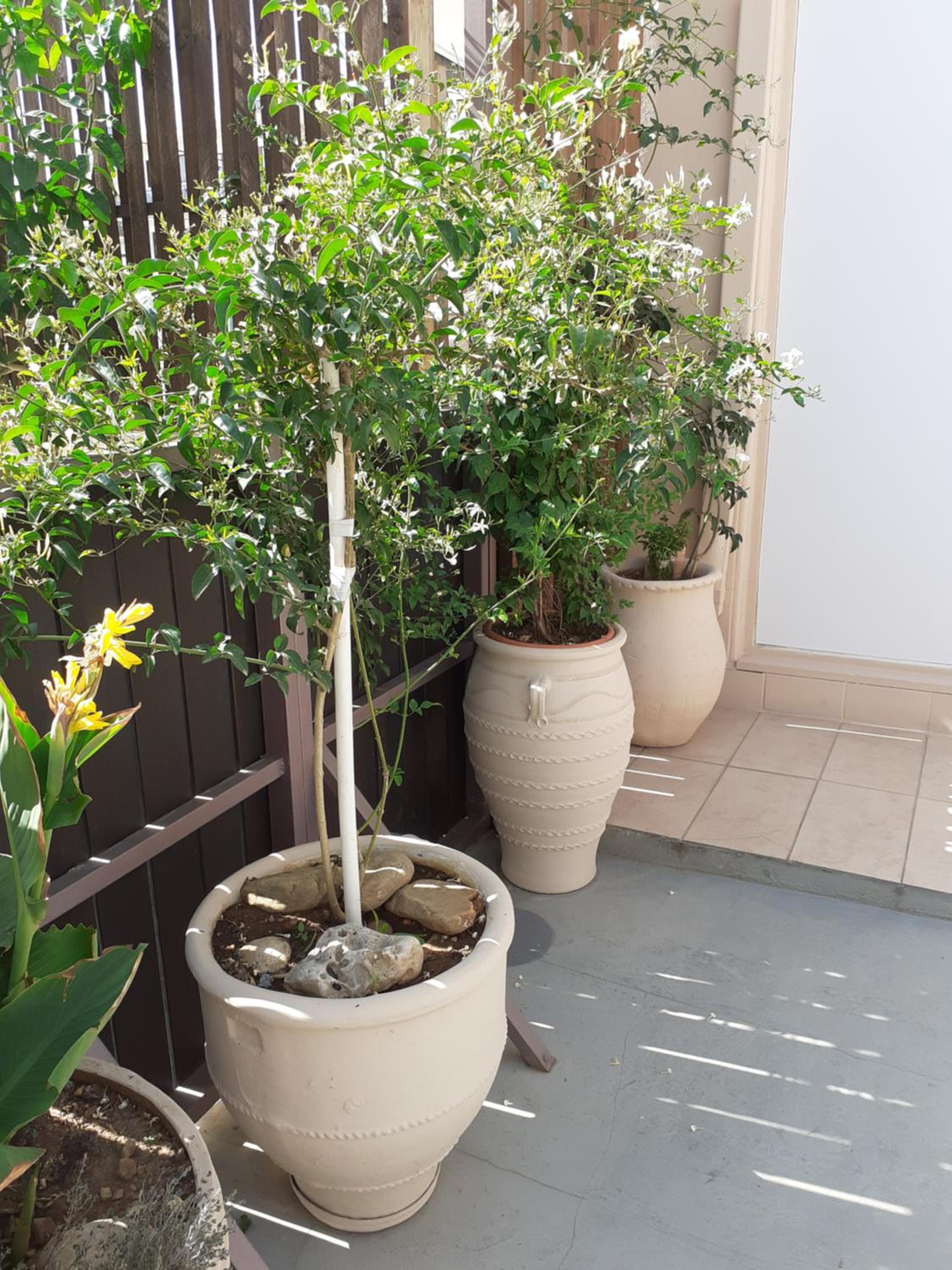 House escape view 4