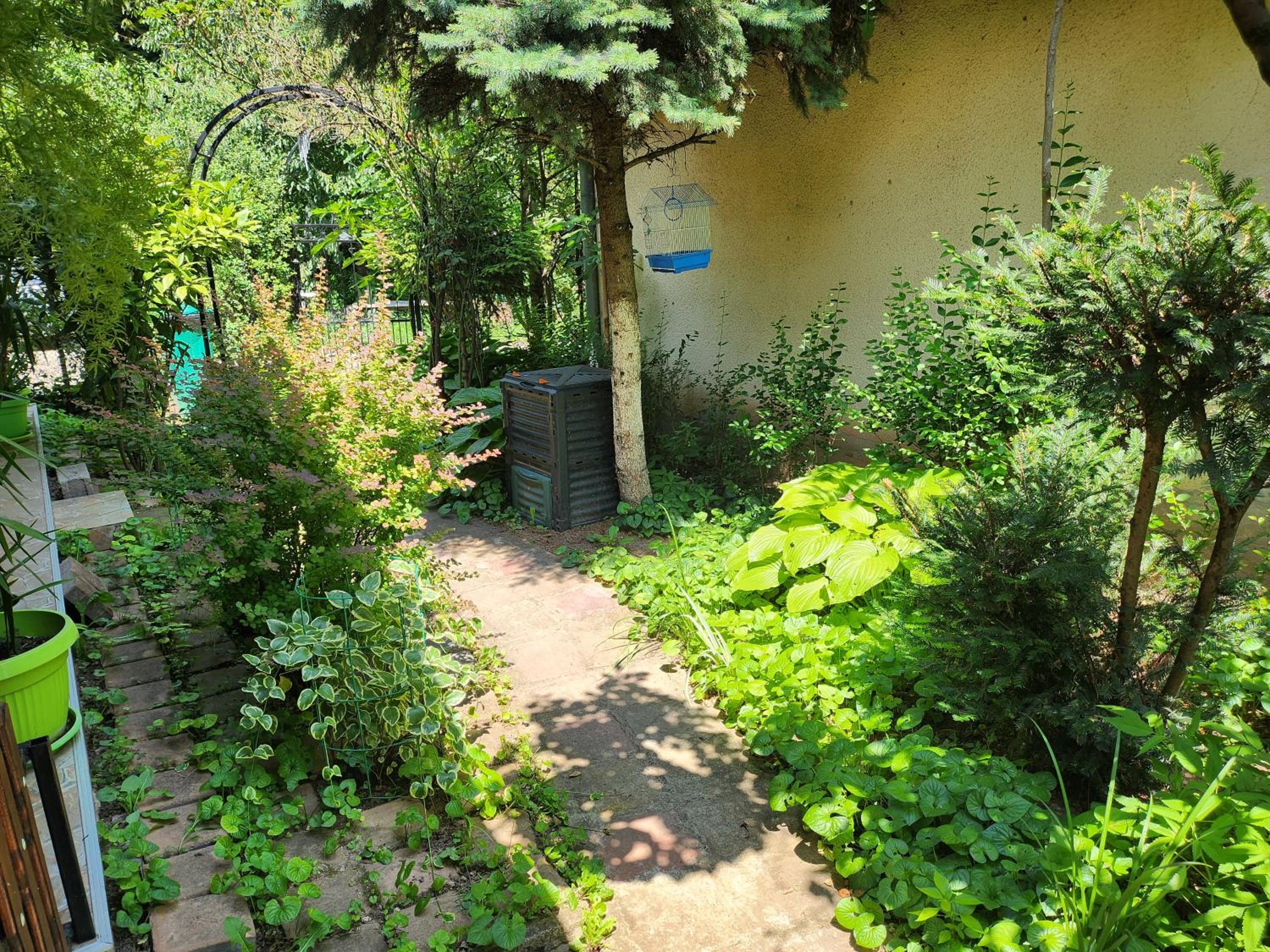 Photo 17
