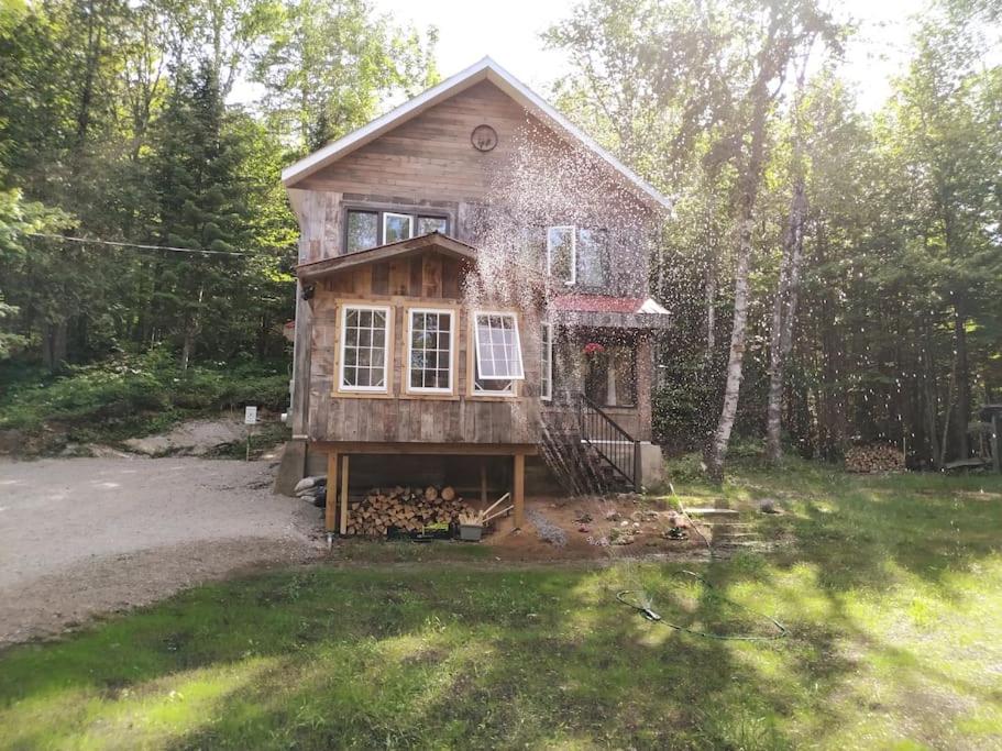 Charming Cottage In a Peaceful Forest & Calm River