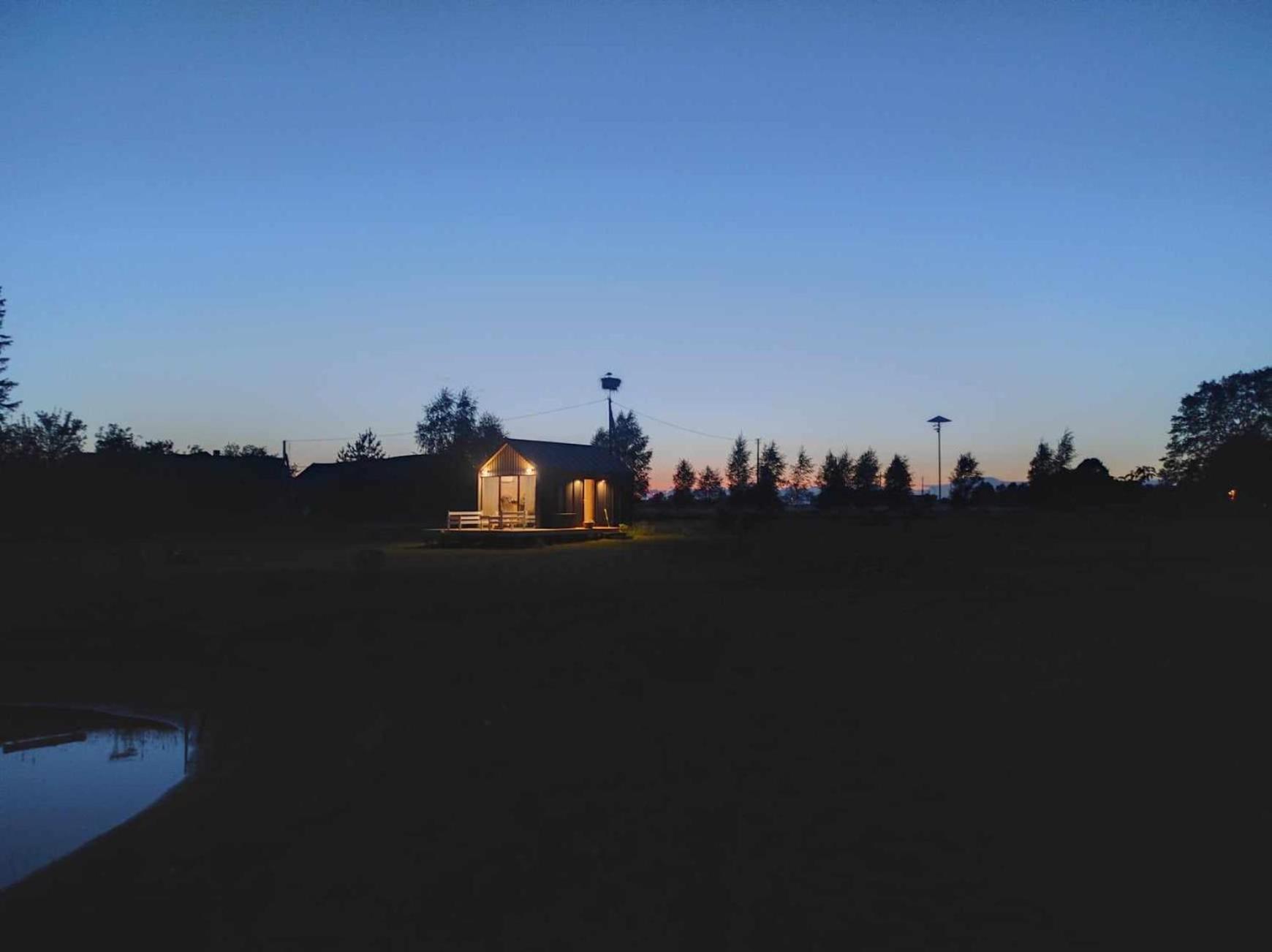 Forest edge view 5
