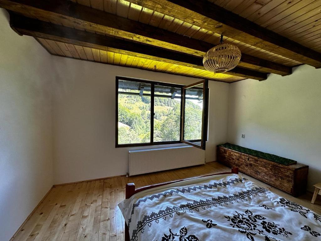 Casa Sufletului