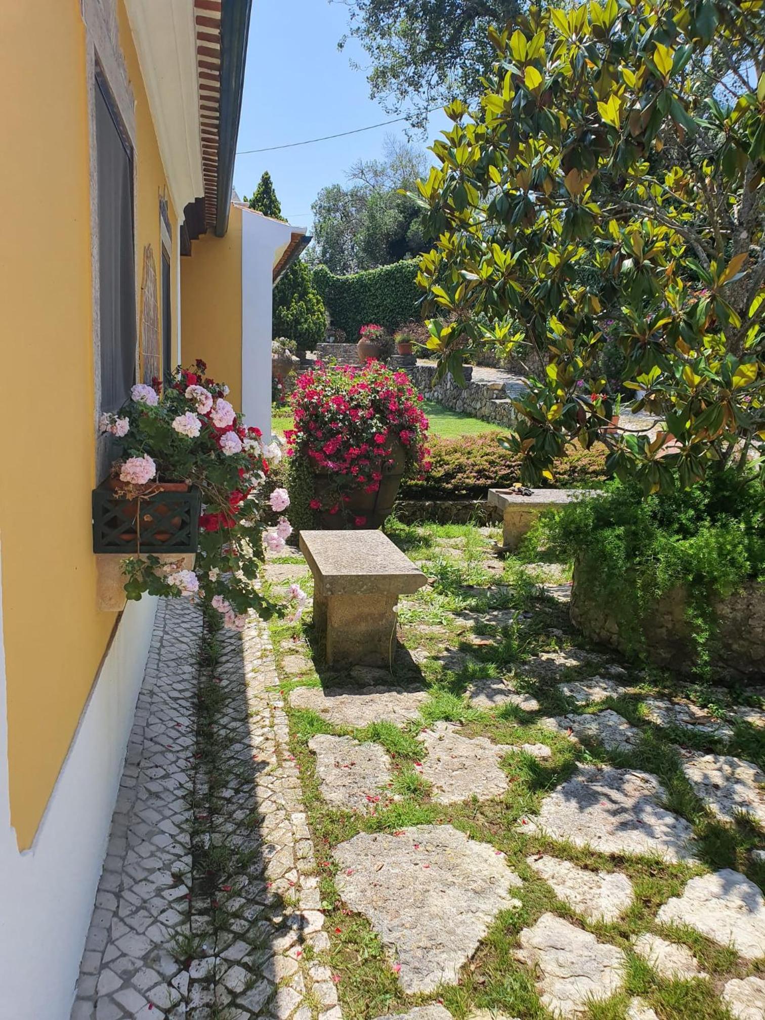 Quinta N. Sra. da Conceição view 3
