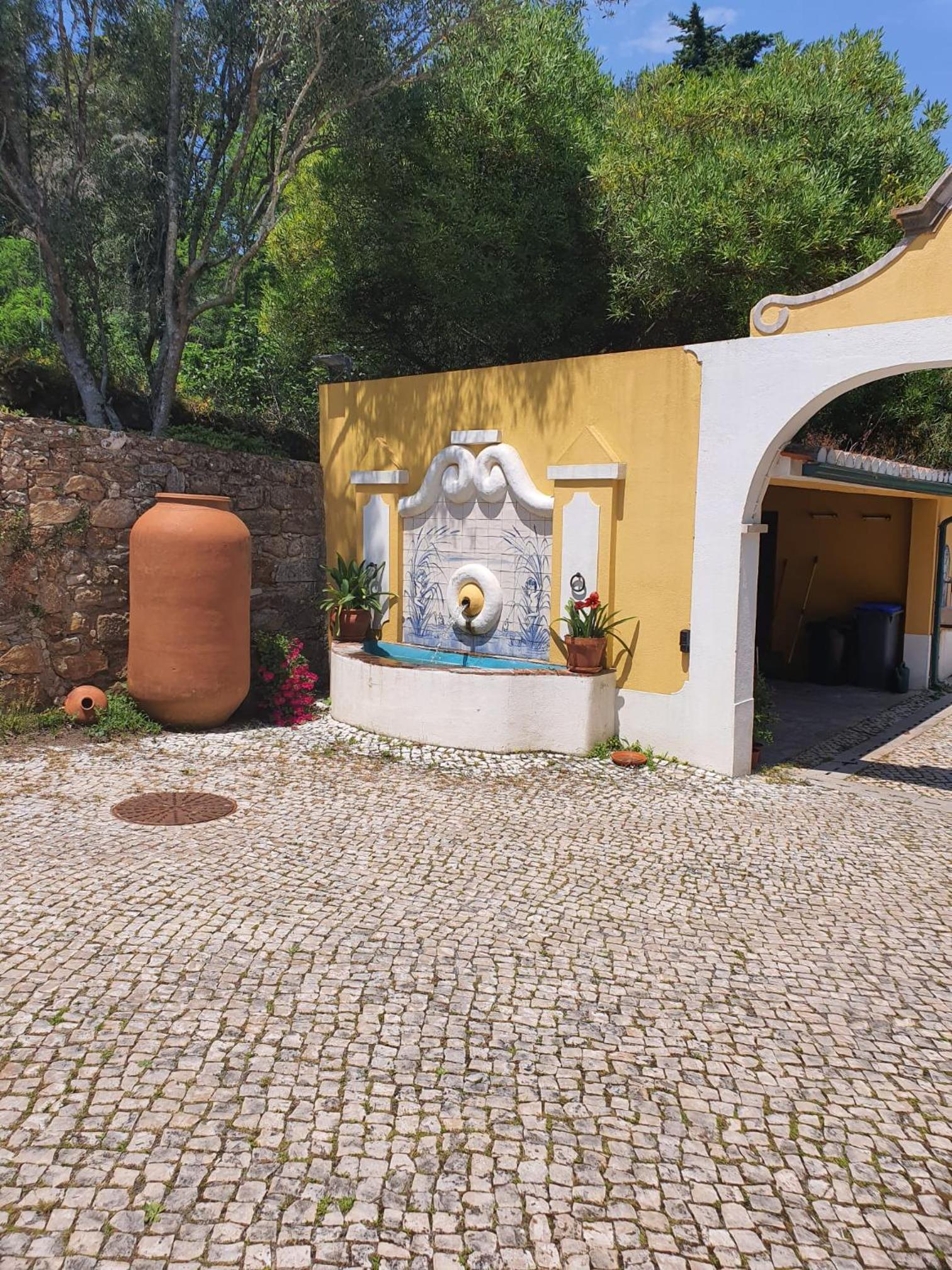 Quinta N. Sra. da Conceição view 4