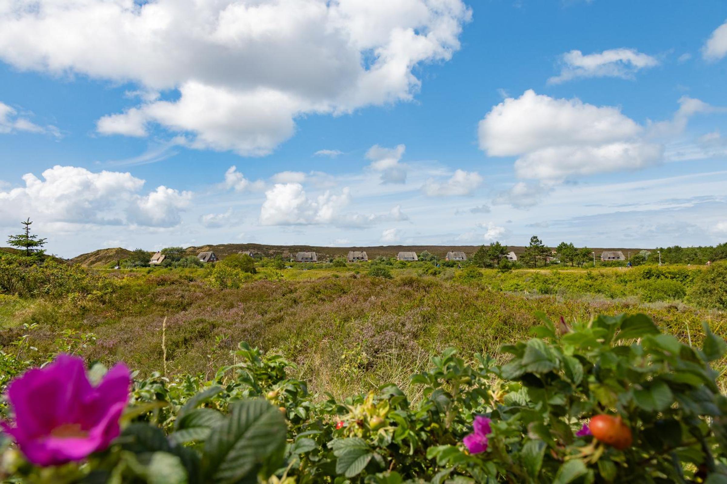 Frederiks Hus