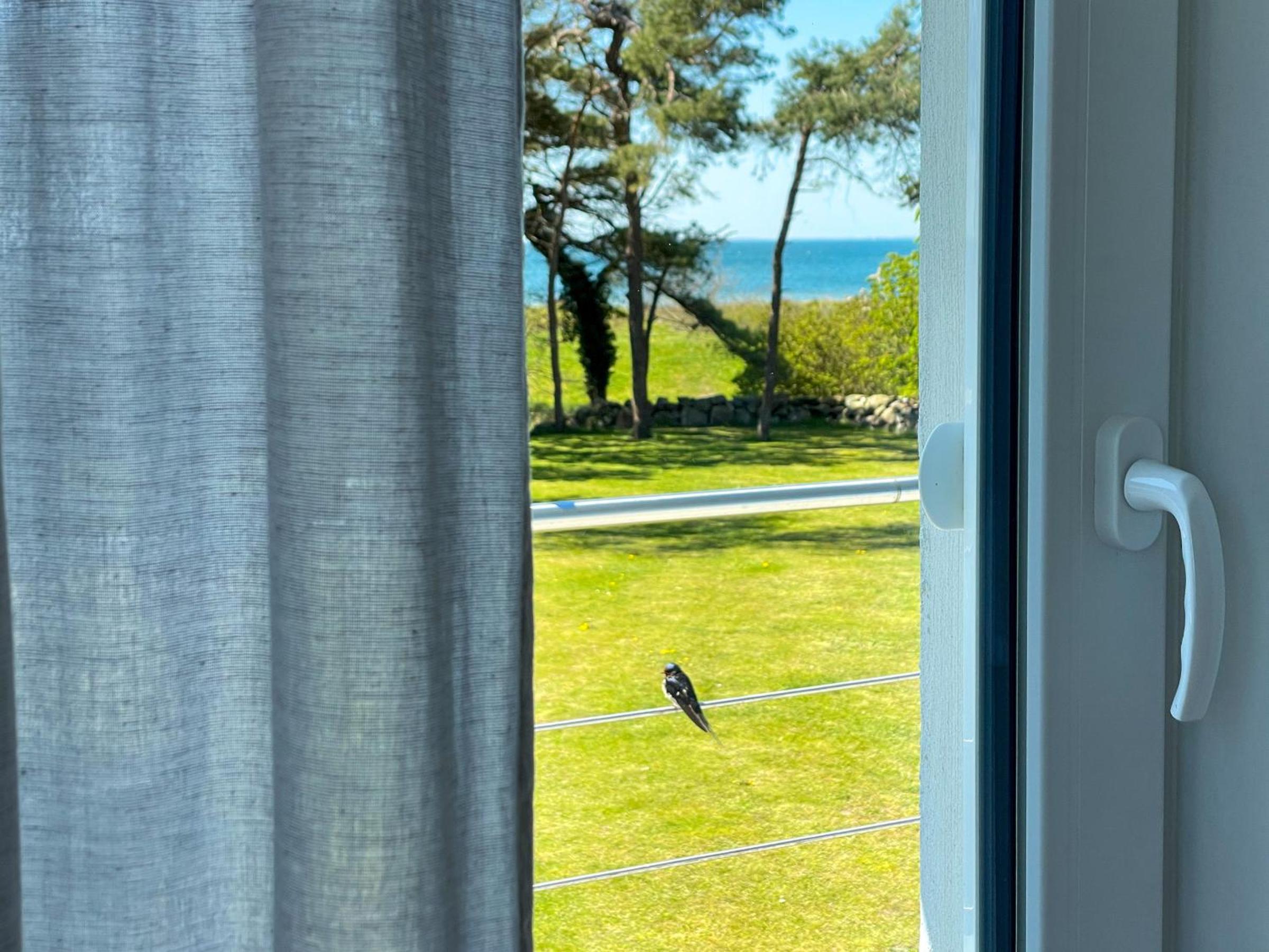 Villa Windflüchter Ferienwohnung 3