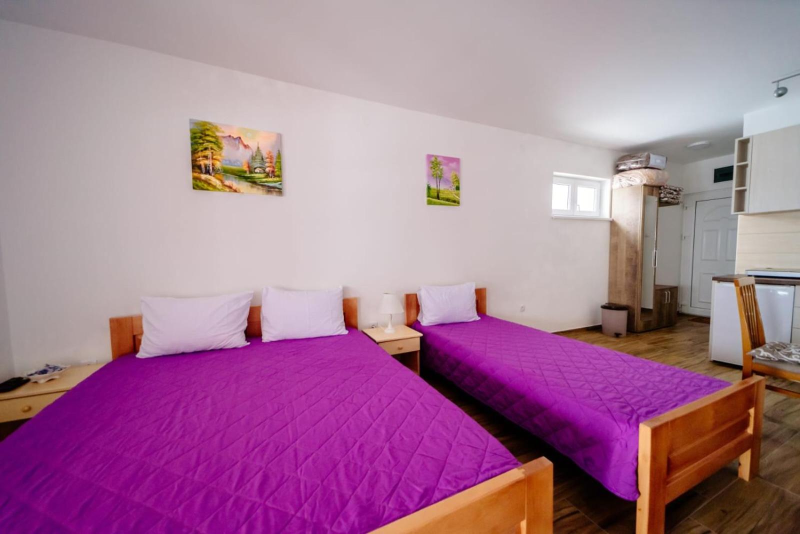 Apartmani Šarović Tara view 3
