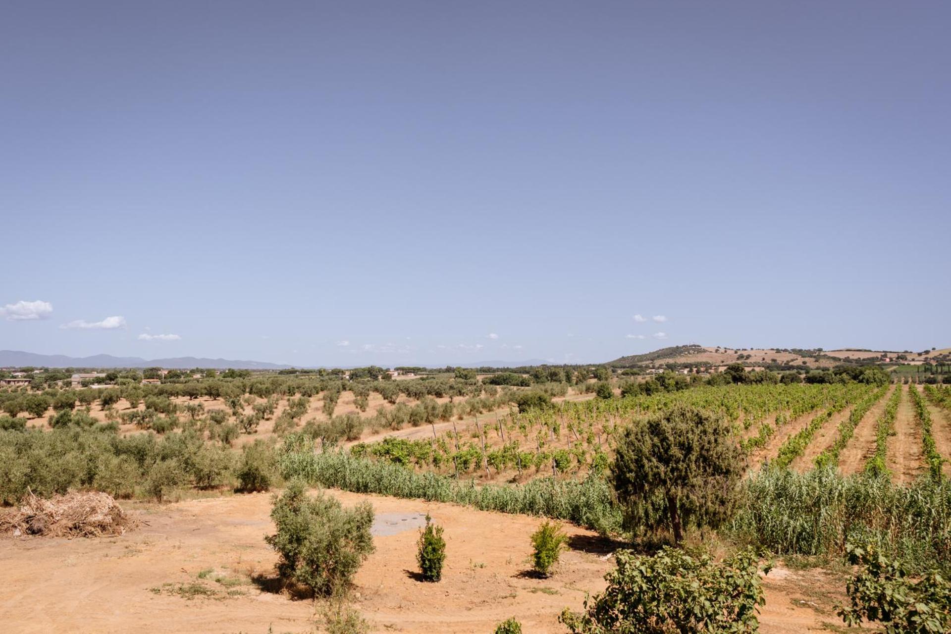 Villa Podere 109 - BioWine view 3