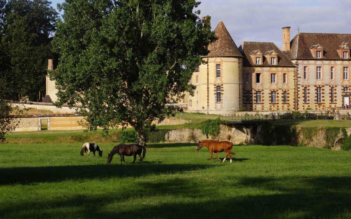 La Grande-Motte Vacations - Chateau de La Riviere - Property Image 4