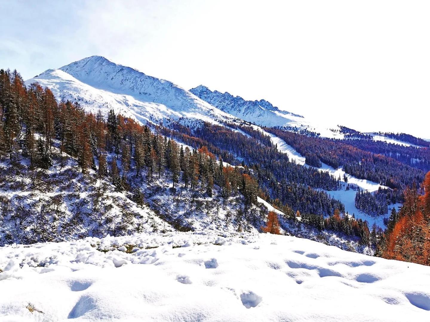Bergdiamant Nauders