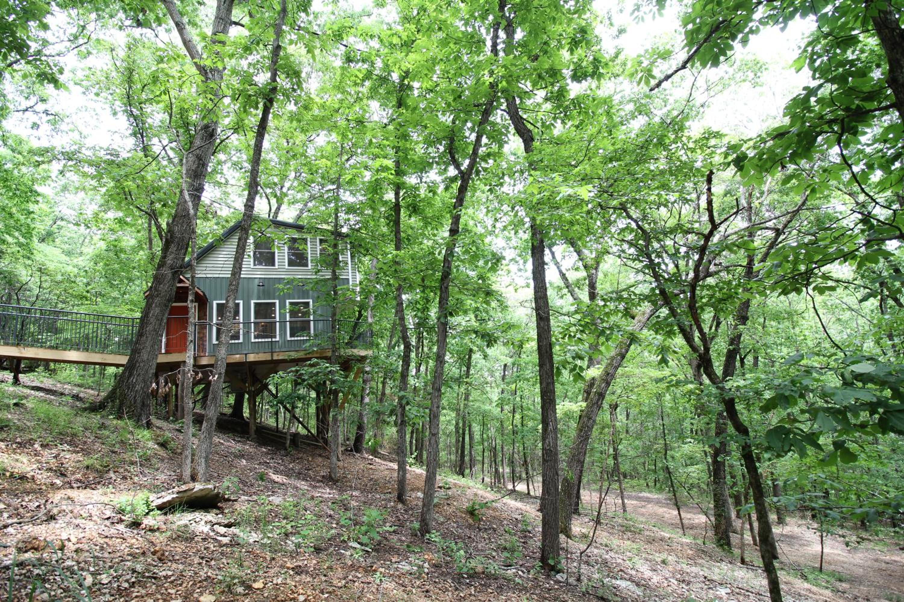 Secluded Treehouse in the Woods - Tree Hugger Hideaway view 3