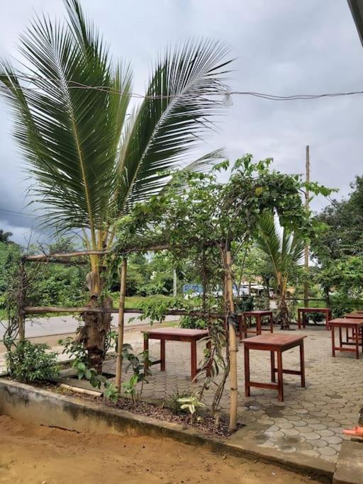 Deux-Palmes-Kribi, proche de la plage, confortable et adapté aux familles