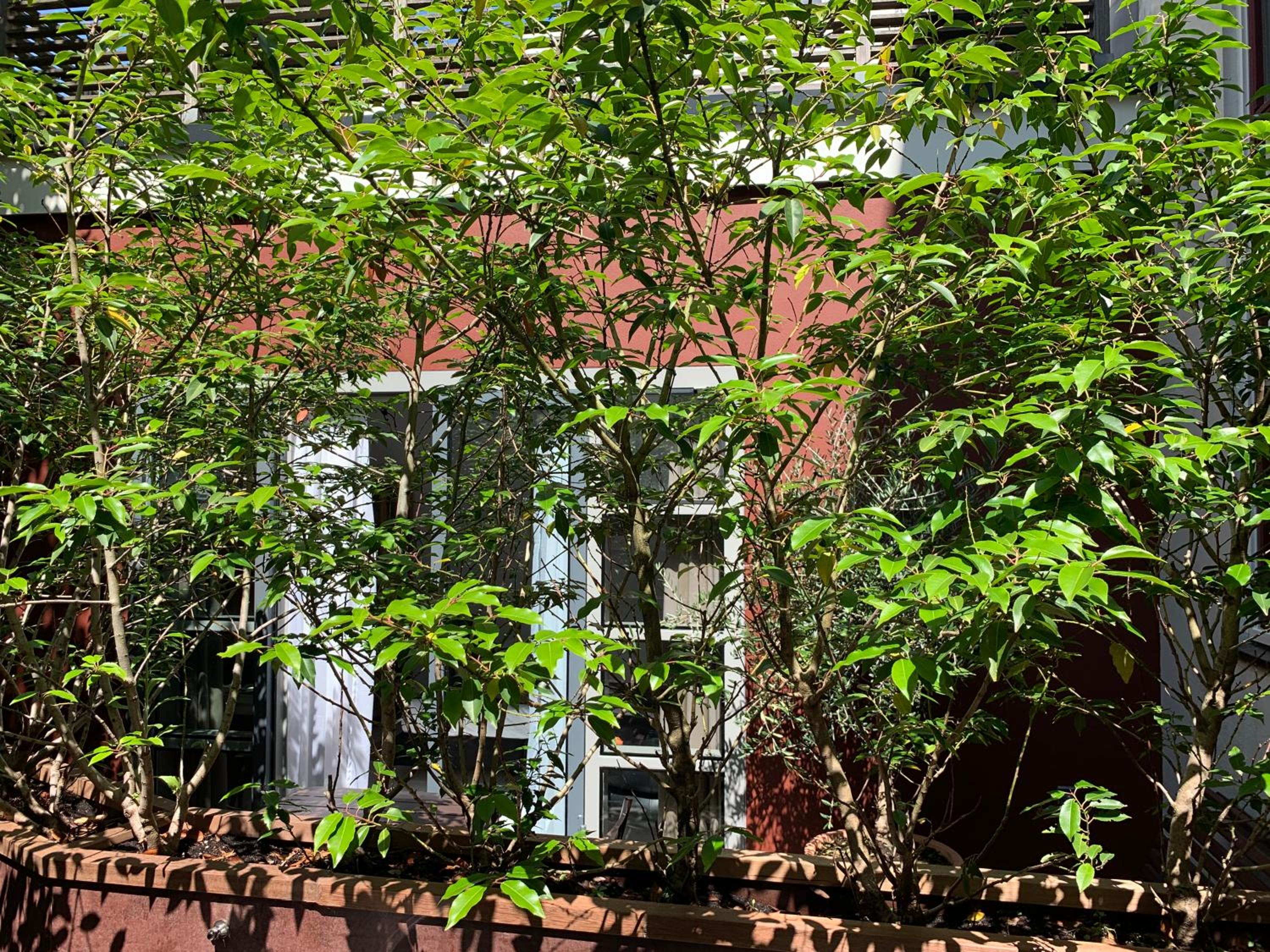 Photo 28