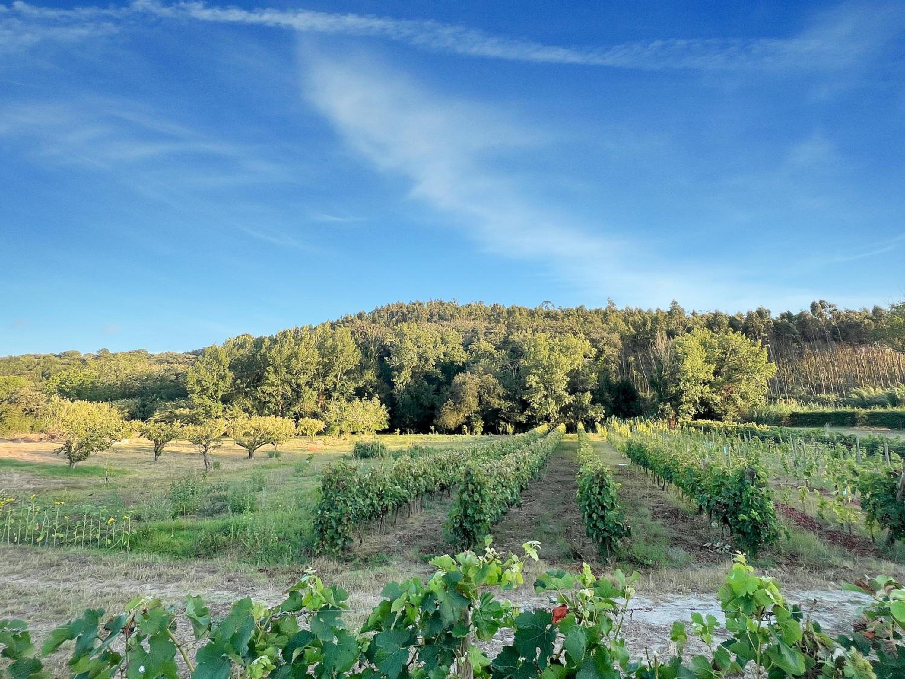 Quinta Mourada