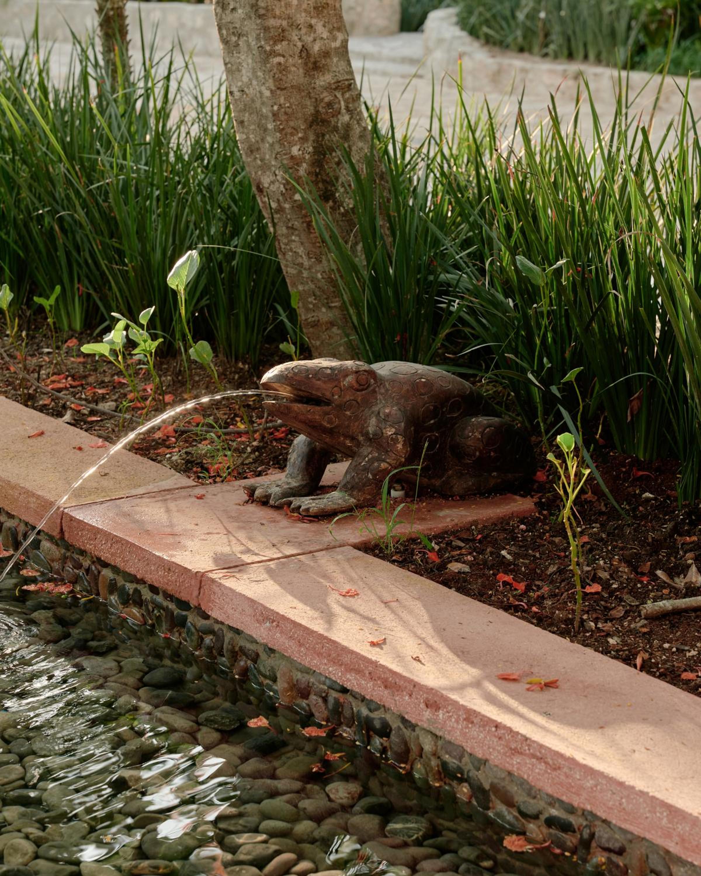 Photo 43