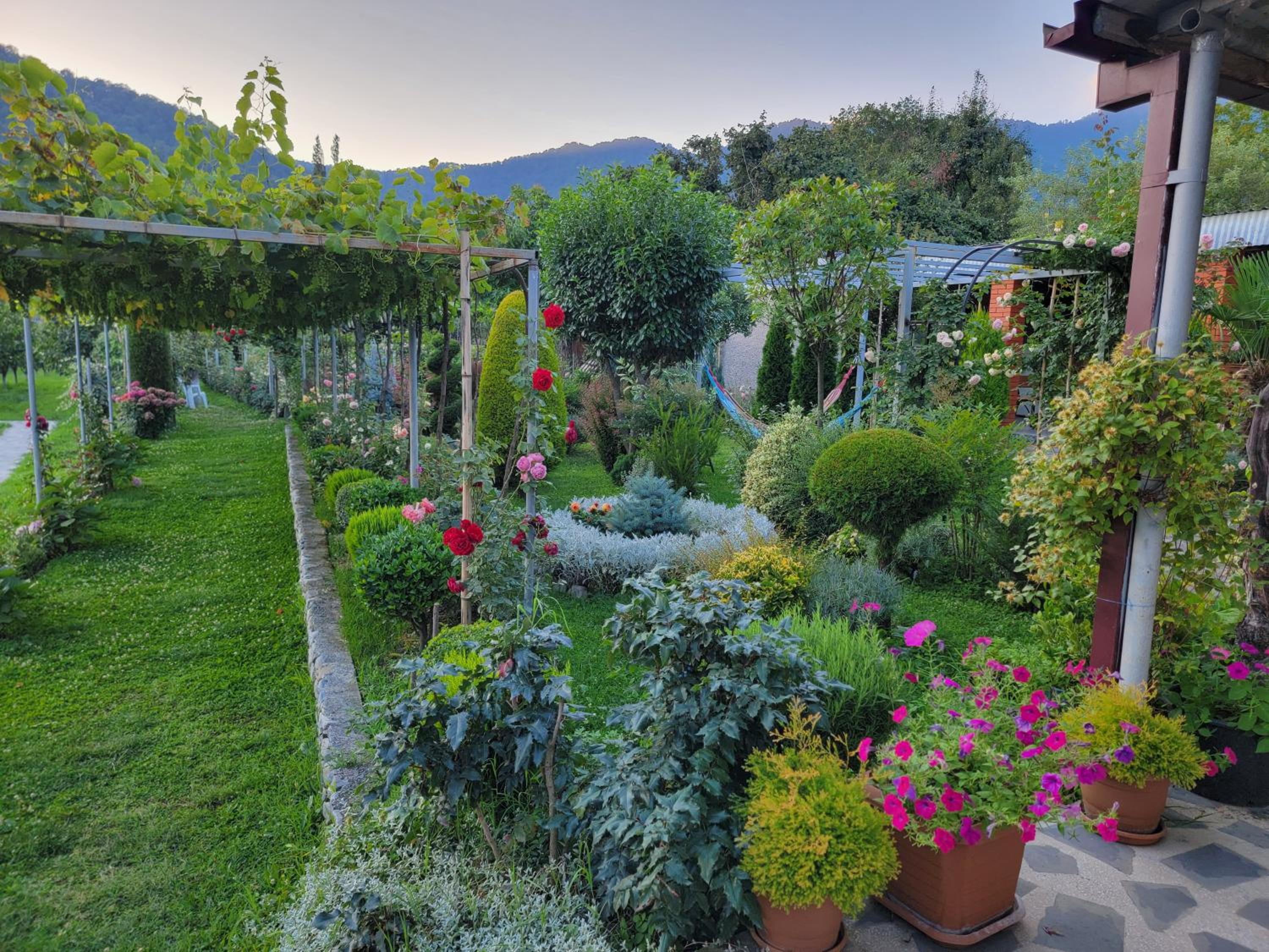 Guest House Gardenia & Wine Cellar view 4