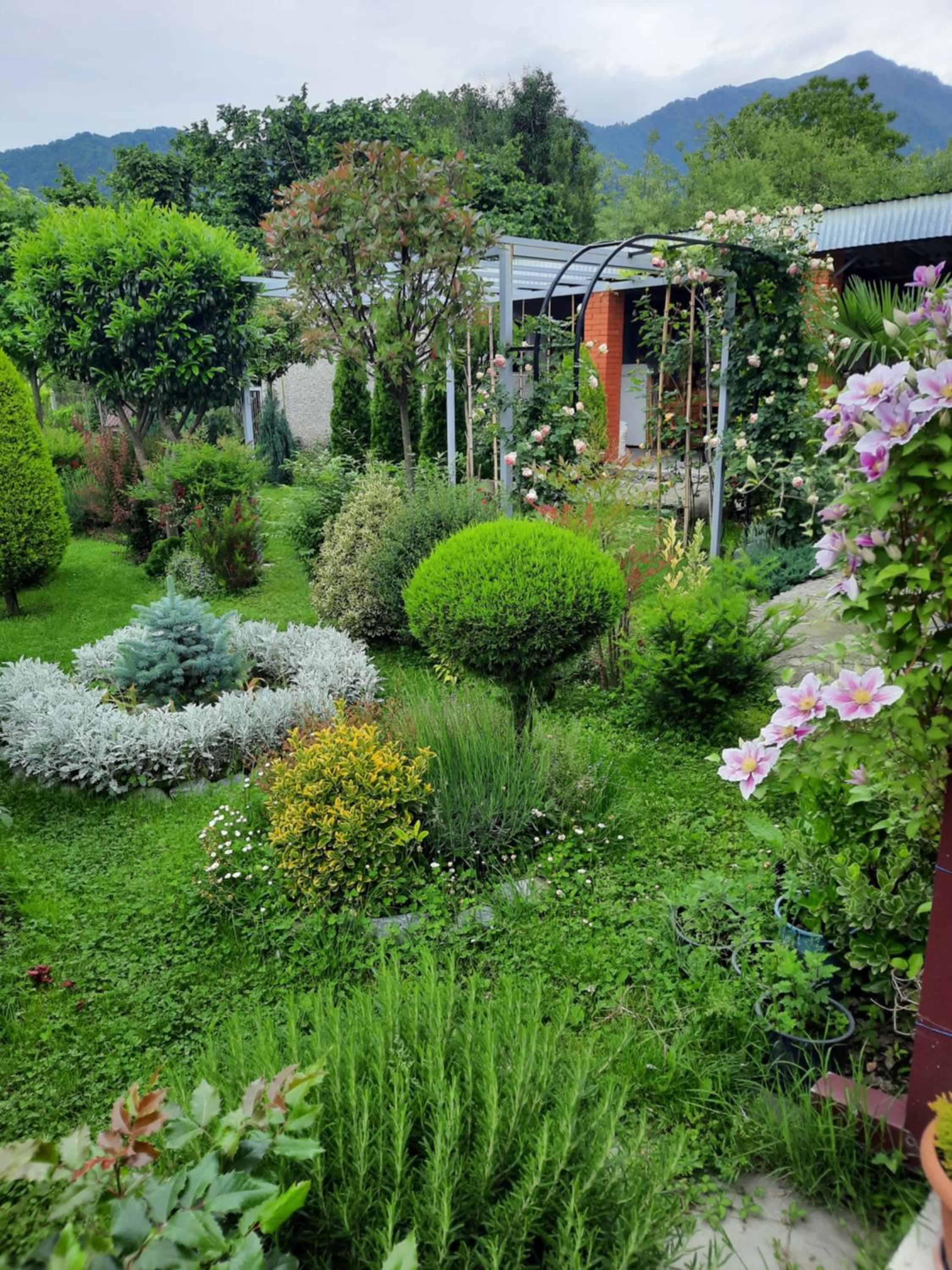 Guest House Gardenia & Wine Cellar view 2