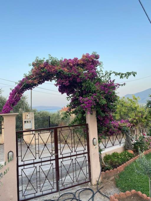 villa kastanos