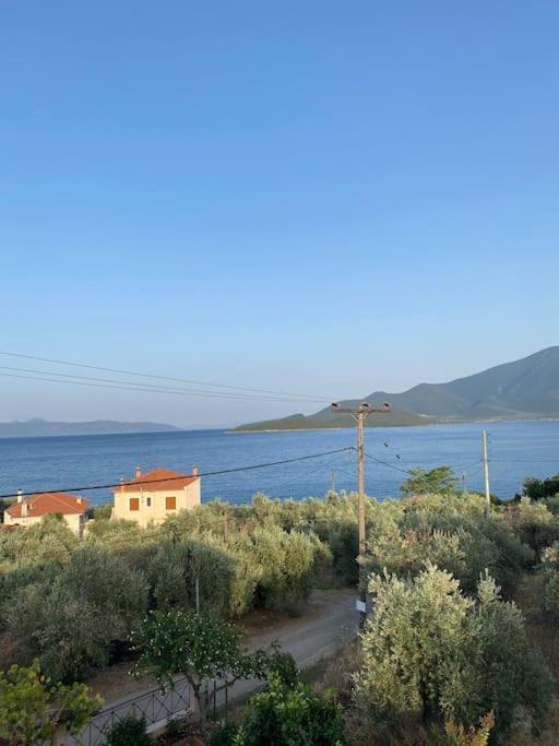 villa kastanos