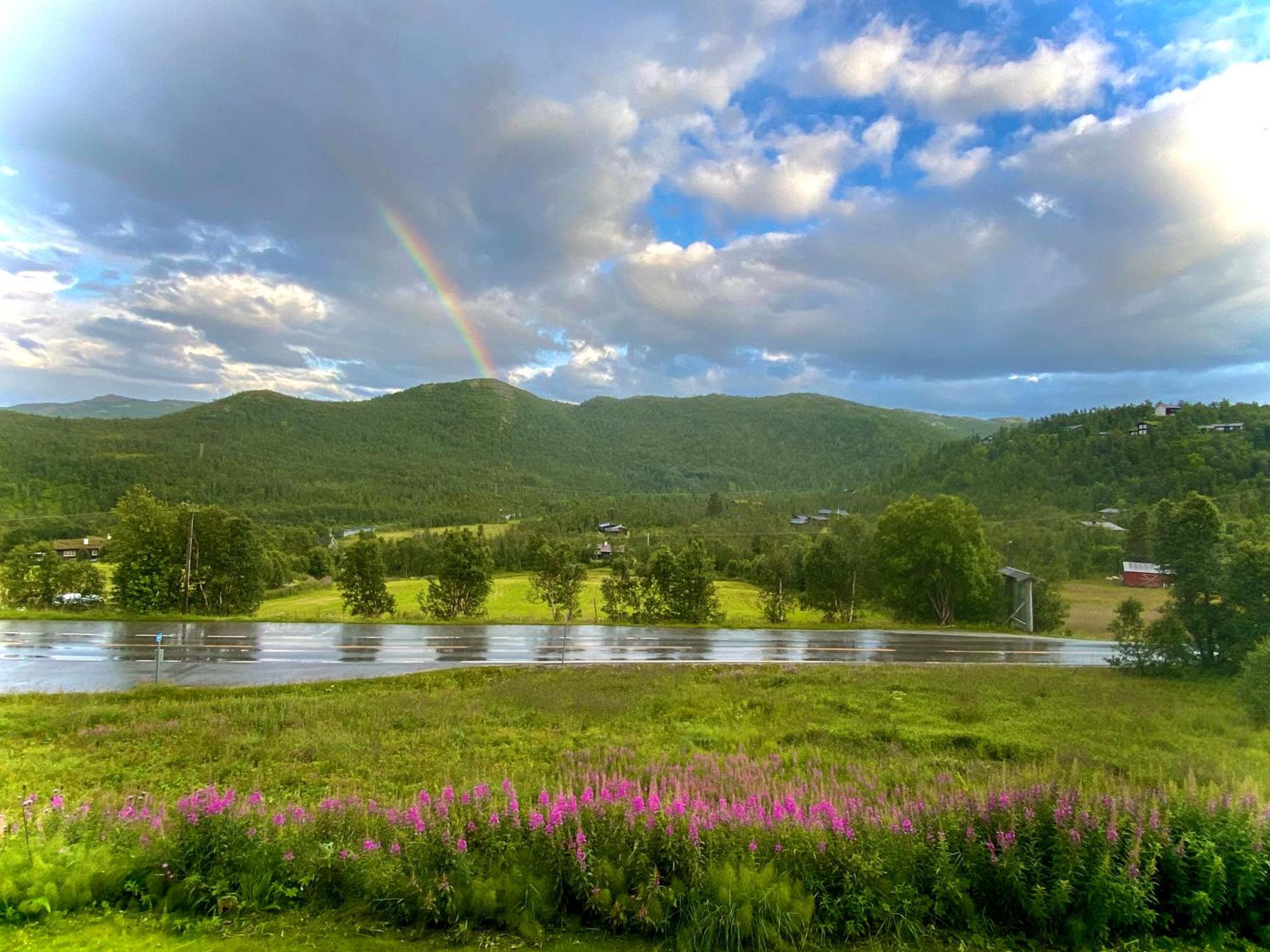 Bjørkli Lodge view 5