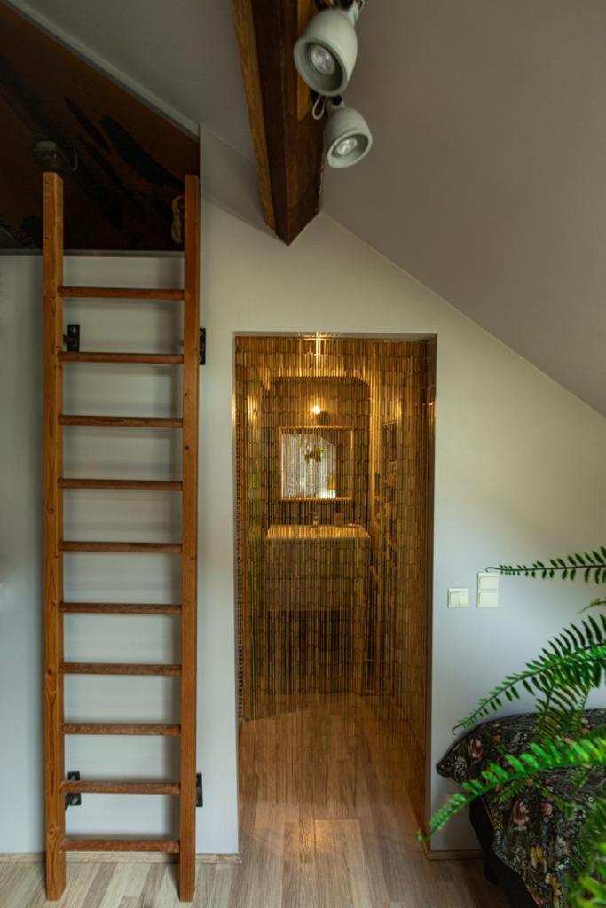 HHVDK city loft